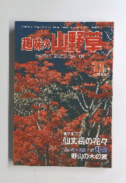 趣味の山野草　1984年11月号
