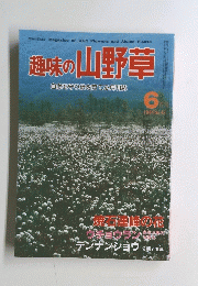 趣味の山野草　1984年6月号