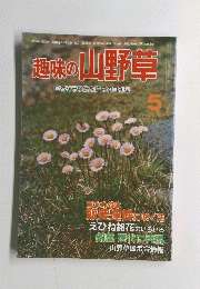 趣味の山野草 1984年5月号