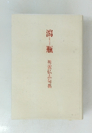 潟瓶　男波弘志句集