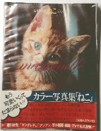 カラー写真集『ねこ』
