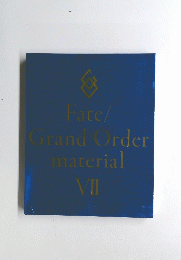 Fate/ Grand Order material VII