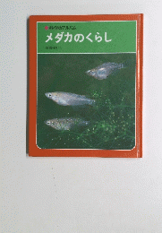 メダカのくらし