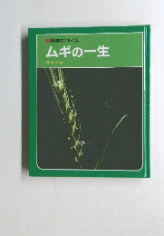 ムギの一生