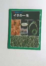 イネの一生