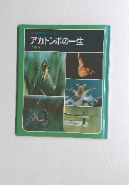 アカトンボの一生