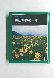 高山植物の一年