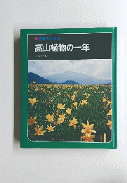 高山植物の一年