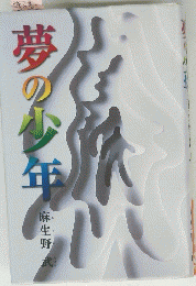 夢の少年