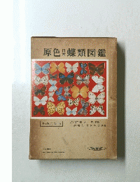 原色蝶類図鑑