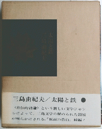 太陽と鉄