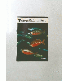 Tetra　世界の アクアリウム情報　1980年夏号　4