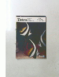 Tetra　世界の アクアリウム情報　Vol.7　1981年春号