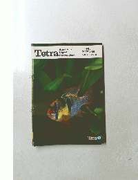 Tetra　１９８１年　Vol.9