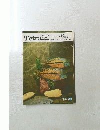 Tetra　世界の アクアリウム情報　Vol.10　1981年冬号