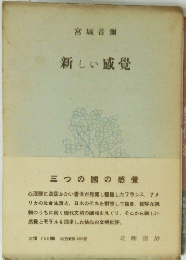 新しい感覺　