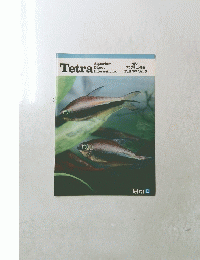 Tetra　世界の アクアリウム情報　1980年秋　5
