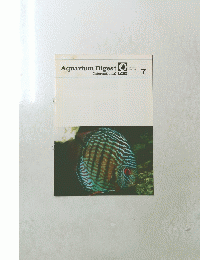 Aquarium Digest International Tetra　7