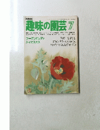 趣味の園芸　1981年7月1日号