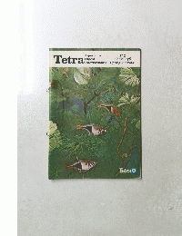 Tetra　1980年春　Vol. 3