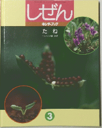 しぜん　たね　3