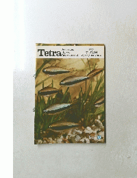 Tetra　世界の アクアリウム情報　Vol.11　1982年春号