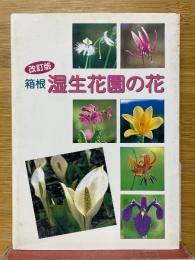 箱根湿生花園の花