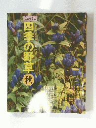 大和園芸　四季の野草秋