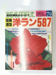 洋ラン587