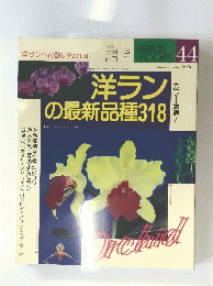 洋ランの最新品種318
