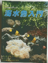 海水魚入間