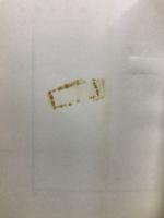 男性と女性　移りゆく世界における両性の研究　現代社会科学業書