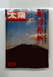 太陽　10号