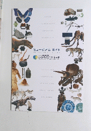 ミュージアムガイド