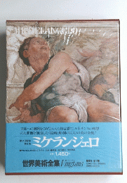 ミケランジェロ 世界美術全集 第6巻