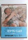 ミケランジェロ 世界美術全集 第6巻