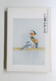 京都の野鳥