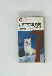 日本の野生動物99の謎