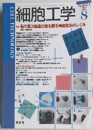 細胞工学　1997年8月号　Vol.16　No.8