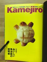 Ichikawa Kamejiro Ⅱ　Portrait of the Artist a tribute to Andy Warhol