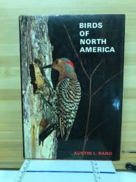 BIRDS OF NORTH AMERICA