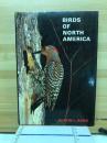 BIRDS OF NORTH AMERICA