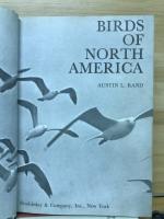BIRDS OF NORTH AMERICA