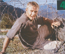 THE MOVIE　 1963年 4　