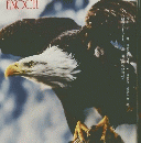 エノク　2020年12月号　No453