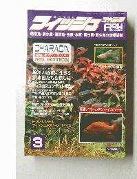 フィッシュ　3