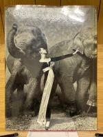 Photographs　1947-1977