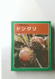 科学のアルバム ドングリ