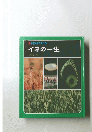 科学のアルバム　イネの一生