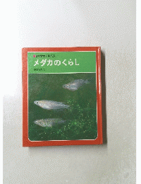 科学のアルバム メダカのくらし